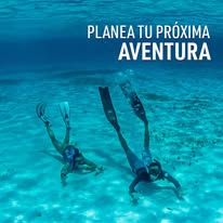 Snorkel en Cozumel durante el tour